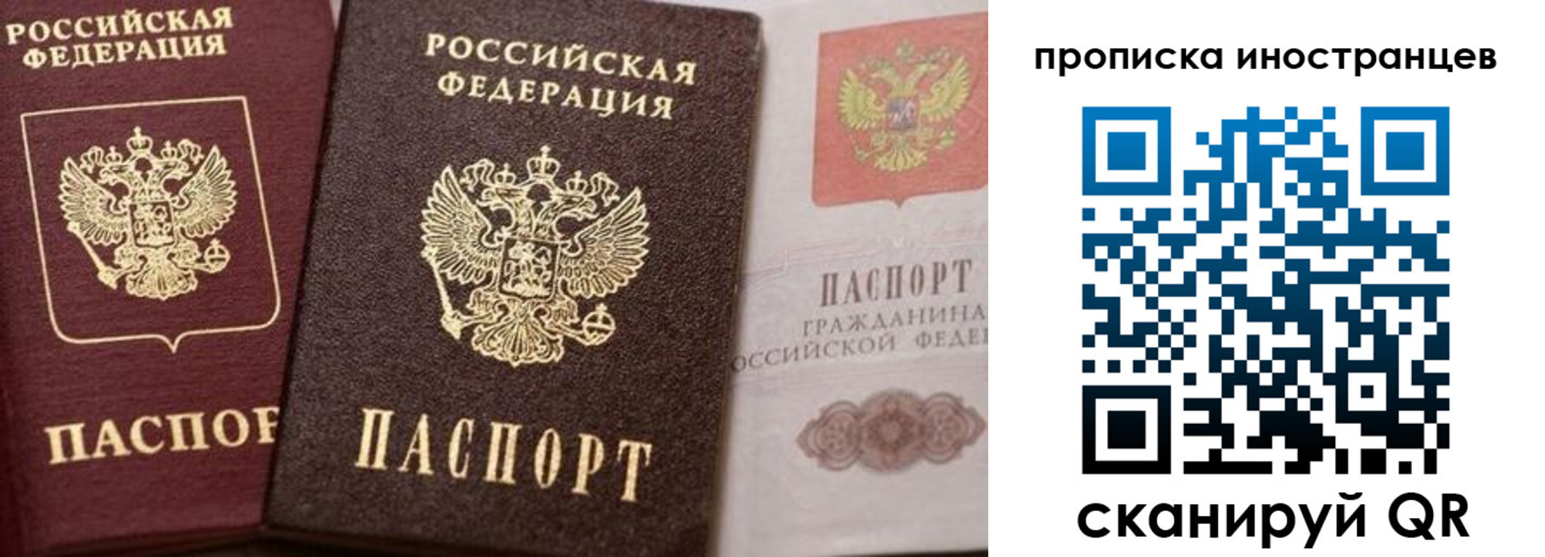 прописка гарантия в Пскове